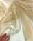 Champagne Crystal Organza Fabric by the Yard, 60" Wide Sheer Lightweight Organza for Wedding Dresses, Event Decor, Curtains & Sewing